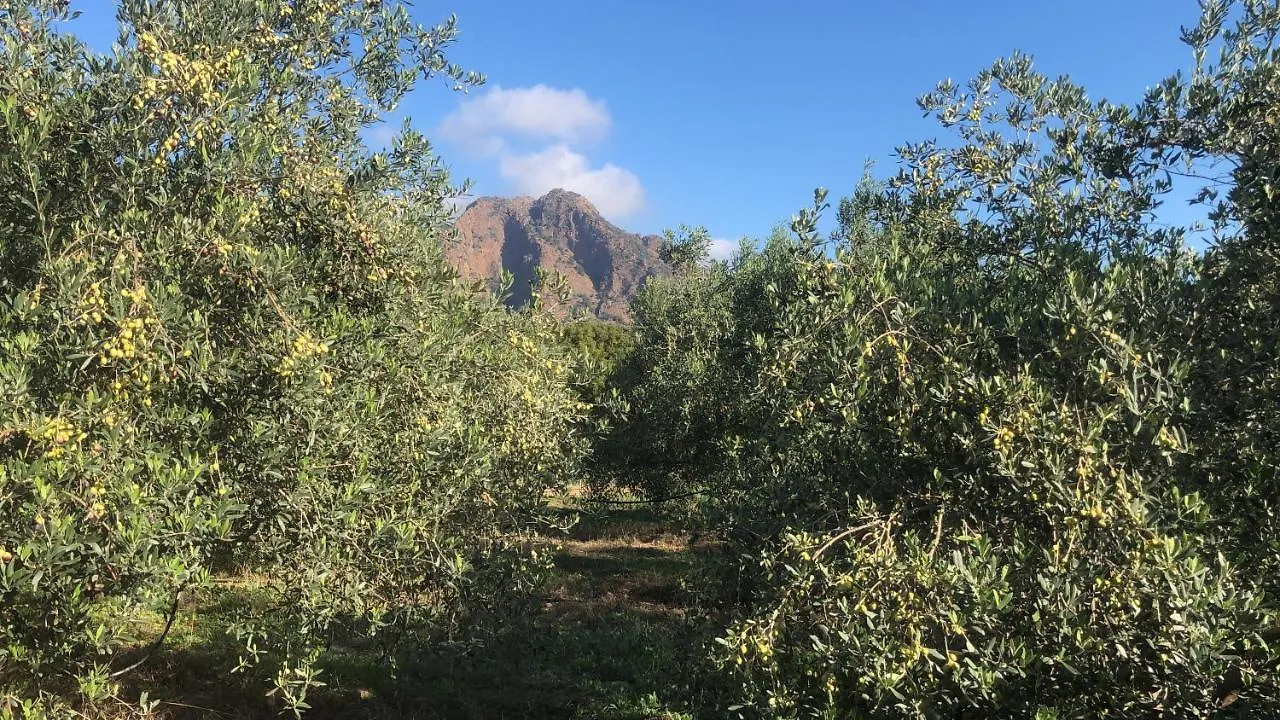 Su Cappeddu Agriturismo San Giorgio  Farm stay