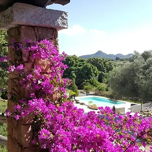  Vakantieboerderij Desole